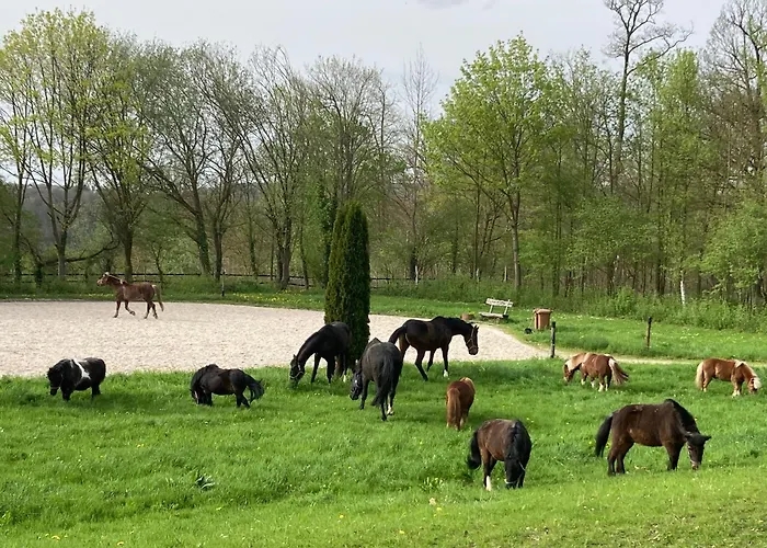 Auf Pferdehof * Braubach
